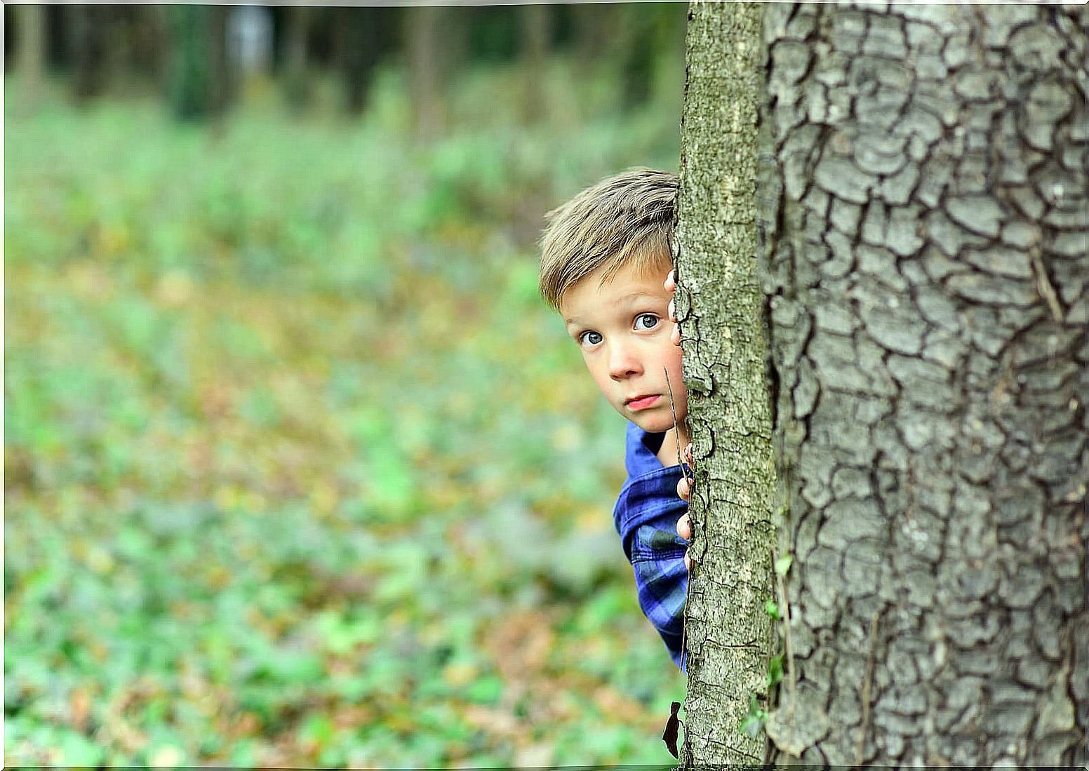 Child hiding behind a tree because he is afraid.