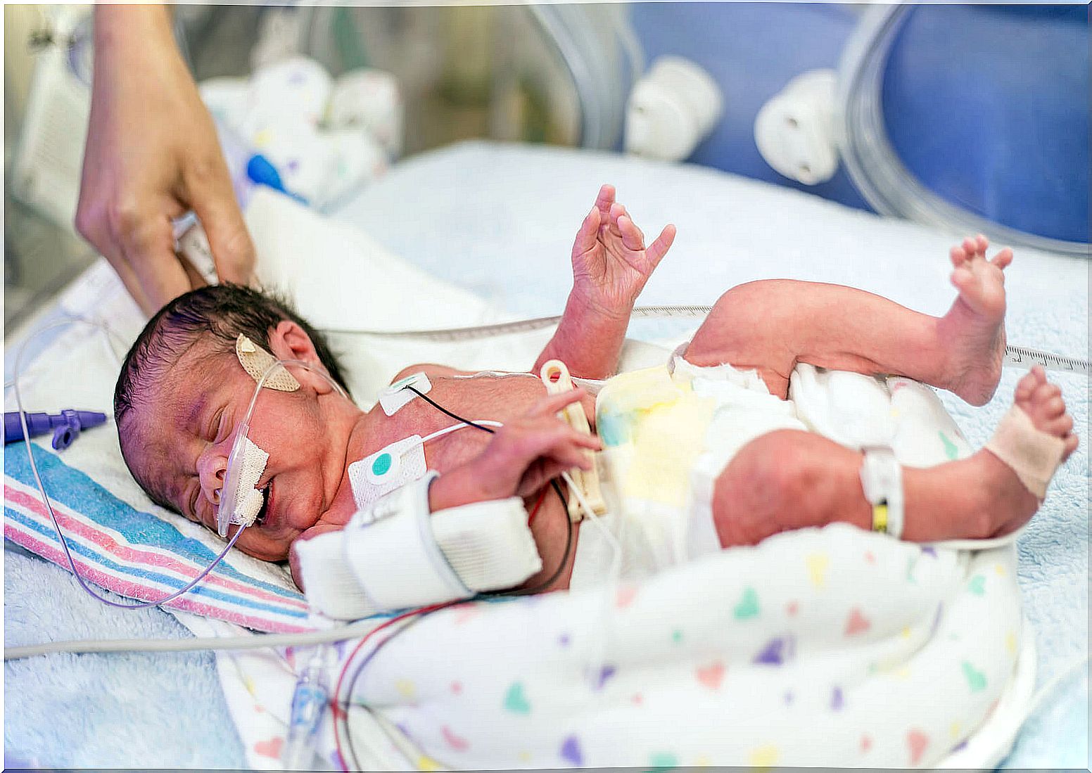 Premature baby in the incubator.