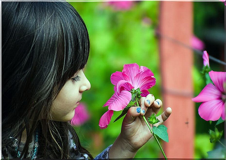 Botany classes for children