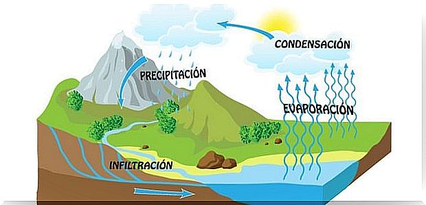 There are numerous children's books on water that explain the water cycle.