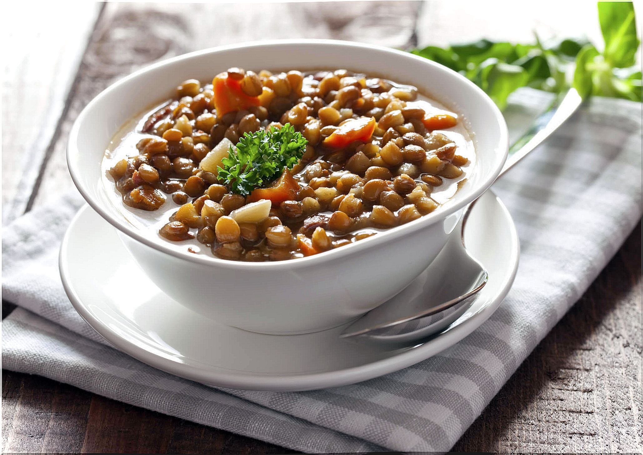 Lentils provide a large amount of fiber to the body.