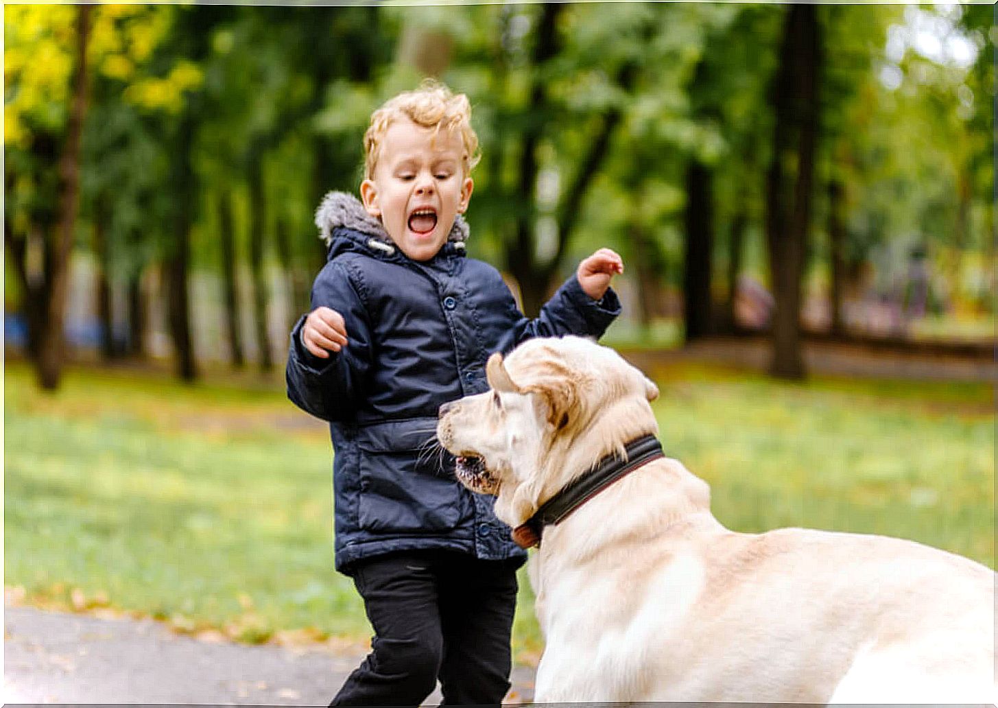 Child afraid of dogs screaming and scared.