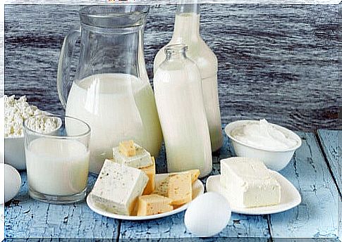 Different dairy products for infant feeding, such as cheese, yogurt, milk ...