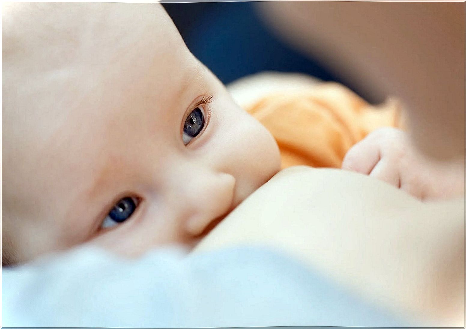 Baby suckling and looking at his mother