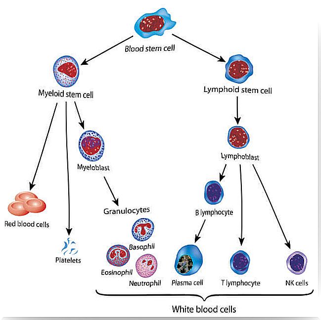 There is hope for childhood leukemia: gene therapy.