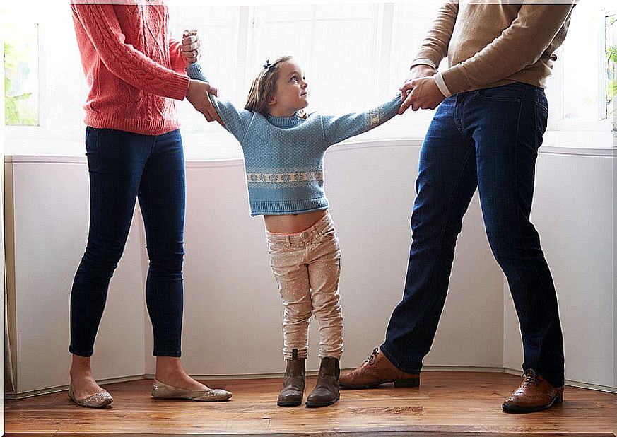 Types of custody for parents